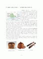 지산동 고분군 & 대가야 박물관에 대한 자료조사 4페이지