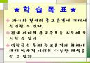 종교의 갈등과 화해.ppt 5페이지