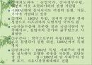전후세계의 발전.ppt 16페이지