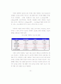 모바일 인터넷 마케팅 전략 21페이지