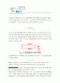 스릿버너화염의 특성 및 온도측정 실험 3페이지