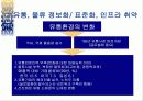 도매상의 현황, 분석, 전망 11페이지