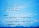 대한항공 28페이지