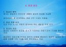 대한항공 31페이지