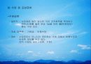 대한항공 40페이지