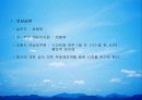 대한항공 41페이지
