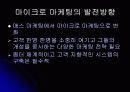 듀오(DUO)의 마이크로마케팅 32페이지