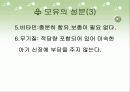모유수유 교육자료♡ 6페이지