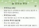 모유수유 교육자료♡ 7페이지