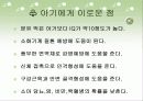 모유수유 교육자료♡ 8페이지