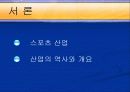 스포츠기업의 조건-퓨마의 성공전략(발표자료) 3페이지