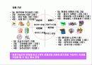 Young Woman’s Portal Site 마케팅전략 41페이지