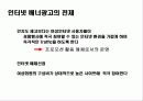 Young Woman’s Portal Site 마케팅전략 46페이지