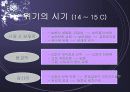 서양철학: 중세철학의 몰락과 르네상스-발표자료 7페이지