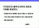 포털 싸이트 런칭 전략 4페이지