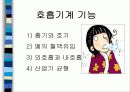 건강사정 호흡기계 파트 파워포인트로 정리  4페이지