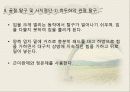 외상성응급, 뇌손상, 경추손상, 흉부손상, 안구손상, 골절, 탈구, 교상 등 37페이지