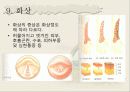 외상성응급, 뇌손상, 경추손상, 흉부손상, 안구손상, 골절, 탈구, 교상 등 49페이지