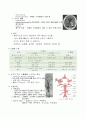 뇌졸증의 증상, 종류, 호발부위, 특이적 증상, 치료방법.  4페이지