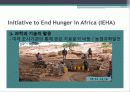 USAID 그리고 아프리카 12페이지