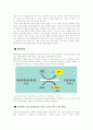ATP(adenosine triphosphate)의 합성과정 2페이지