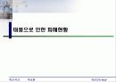 태풍 및 내풍에 대하여 11페이지