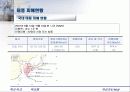태풍 및 내풍에 대하여 22페이지