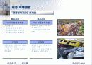 태풍 및 내풍에 대하여 29페이지