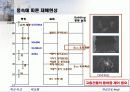 태풍 및 내풍에 대하여 36페이지