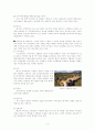 유럽만의 독특한 ‘카페문화’를 형성하게 한 커피 6페이지