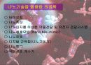 [공학기술]나노기술과 의공학 5페이지