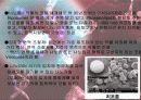 [공학기술]나노기술과 의공학 11페이지