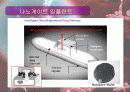 [공학기술]나노기술과 의공학 12페이지