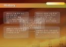 중국기업분석 - 신화통신(xinhua).ppt 4페이지
