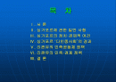 싱가포르의 민족정책과 경제발전 - 리콴유의 정책을 중심으로 2페이지