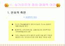싱가포르의 민족정책과 경제발전 - 리콴유의 정책을 중심으로 7페이지