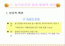 싱가포르의 민족정책과 경제발전 - 리콴유의 정책을 중심으로 8페이지