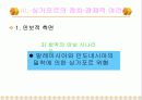 싱가포르의 민족정책과 경제발전 - 리콴유의 정책을 중심으로 9페이지