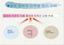 싱가포르의 민족정책과 경제발전 - 리콴유의 정책을 중심으로 13페이지