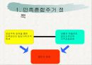 싱가포르의 민족정책과 경제발전 - 리콴유의 정책을 중심으로 18페이지