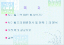 싸이월드의 DECOMAS 사례 분석.ppt 2페이지