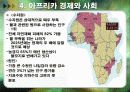 아프리카의 경제.ppt 13페이지