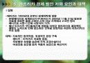 아프리카의 경제.ppt 21페이지