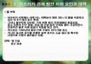 아프리카의 경제.ppt 22페이지