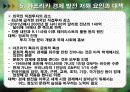 아프리카의 경제.ppt 25페이지