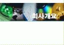 IT 기업 사업계획서 4페이지