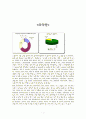 대학생의 부업현황 및 의식에 관한 실태조사 3페이지