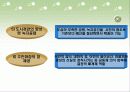 대구시 담장허물기 운동 17페이지