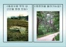 선진국의시민행정사례(영국의내셔널트러스트의시민행정) 32페이지