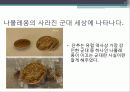 사라진 나폴레옹의 병사들 7페이지